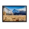 Stupell Industries Coyote in Mountain Prairie Floating Frame, design by Jeff Poe Photography
